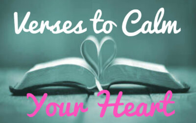 Calm Your Hearts